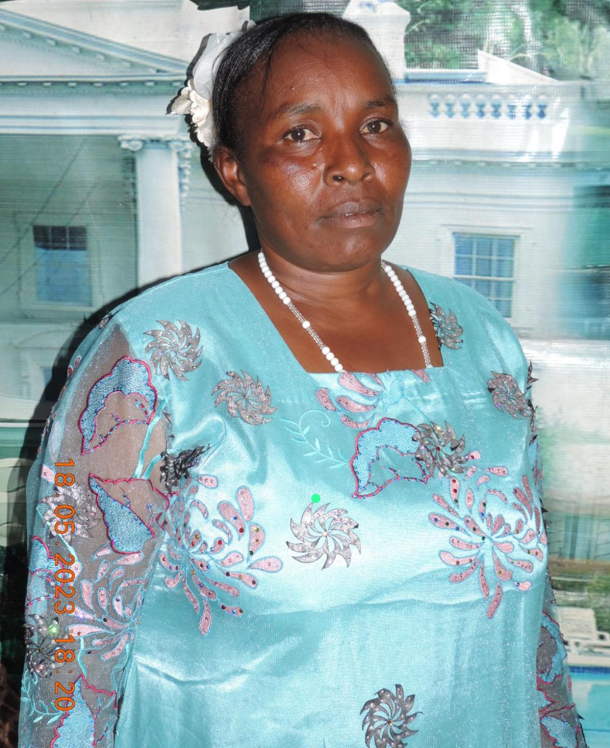 Digital Adverts Ltd agent Kisii (Nyaribari masaba) branch