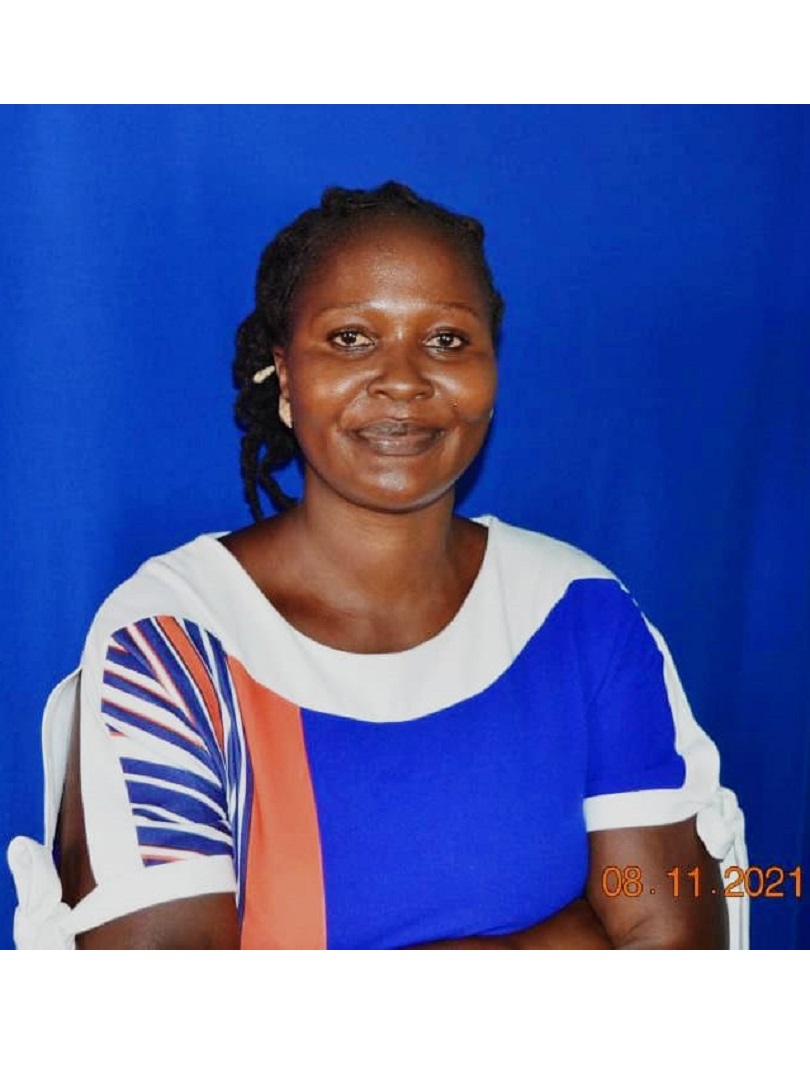 Digital Adverts Ltd agent Siaya (Alego Usonga) branch